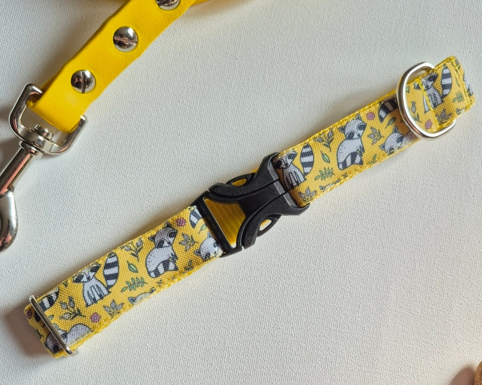 Little Racoons Dog Collar