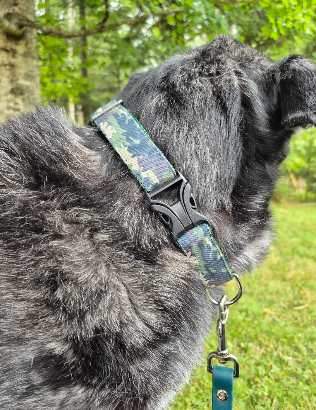 Green Camo Dog Collar
