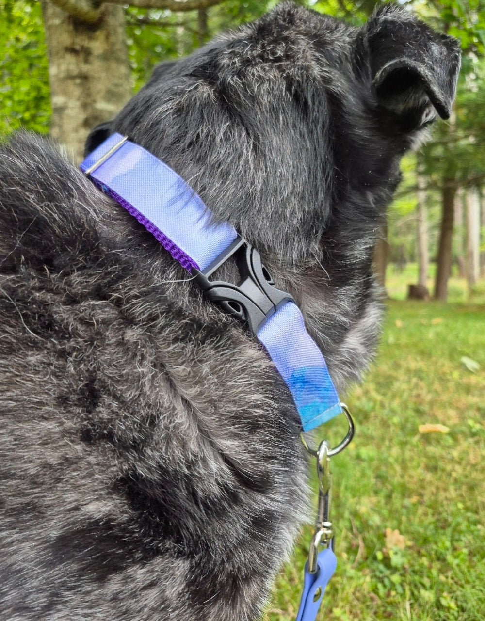 Purple Watercolor Dog Collar
