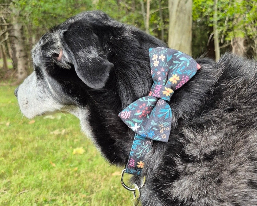 Midnight Garden Dog Collar