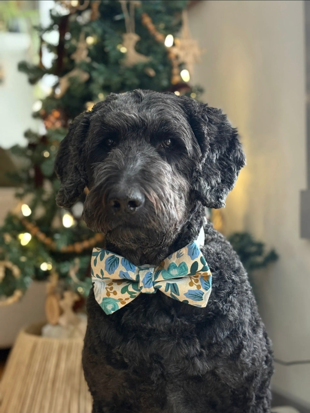 Rifle Paper Co. Blue Floral Over-the-collar Dog Bow