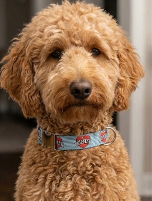 I Love Mom Dog Collar