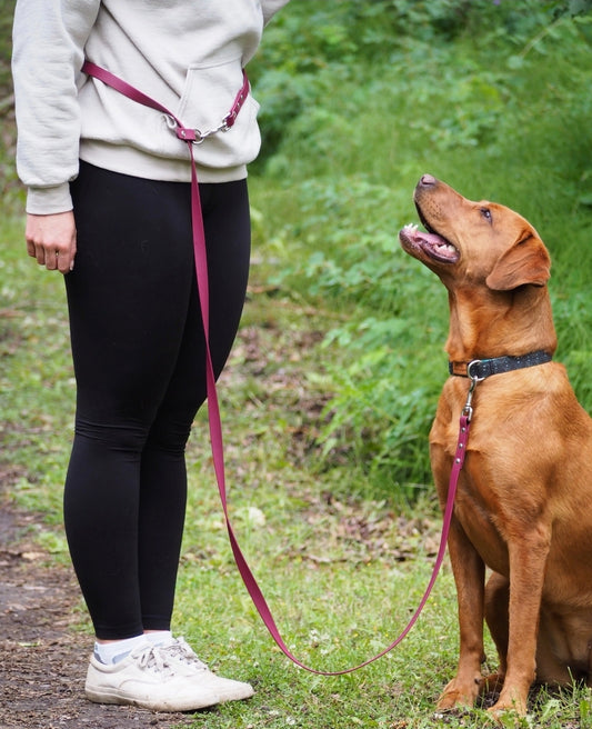 Multiuse Handsfree BioThane® Leash