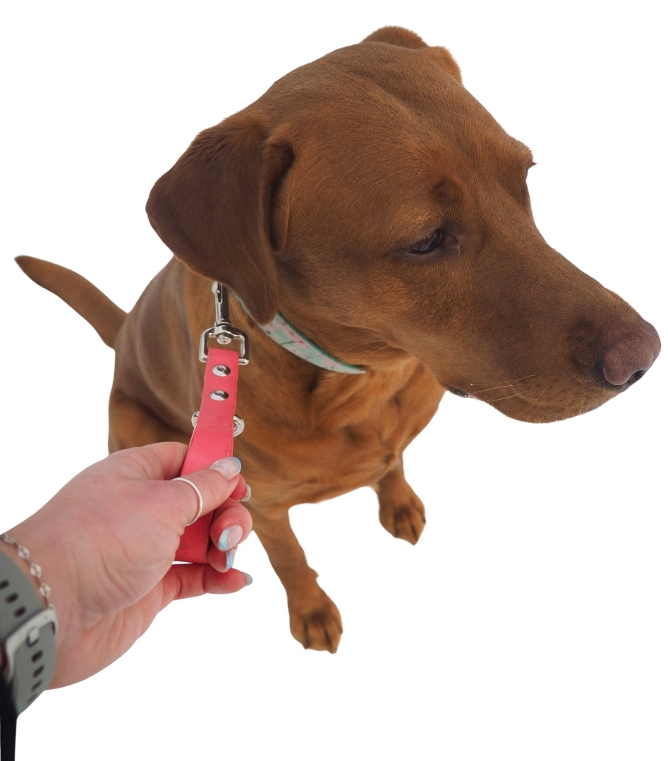 BioThane® Leash Tab