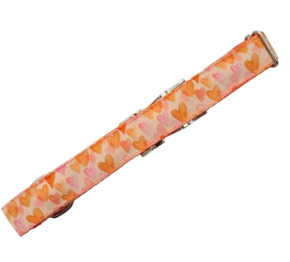 Orange Hearts Dog Collar