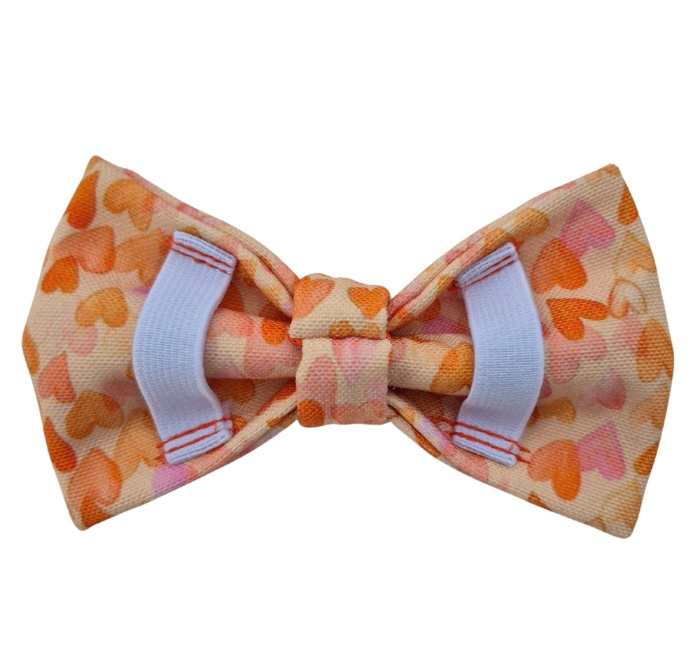 Orange Hearts Over-the-collar Dog Bow