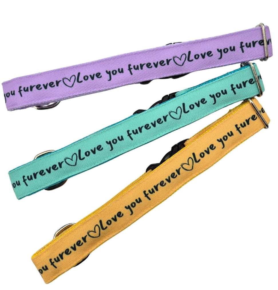 'Love You Furever' Dog Collar