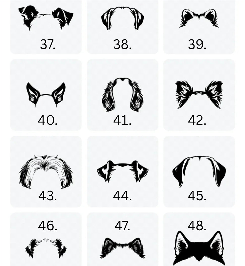 I wear my heart on my sleeve - Pre-order