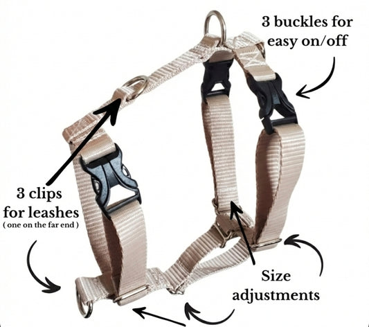 Everyday Walking Harness