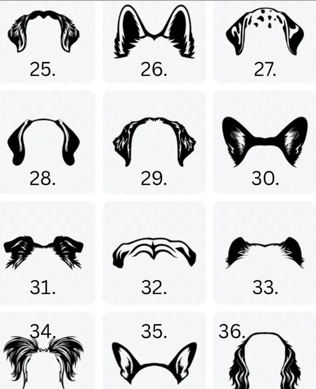 Dog Ears + Name - Pre-order