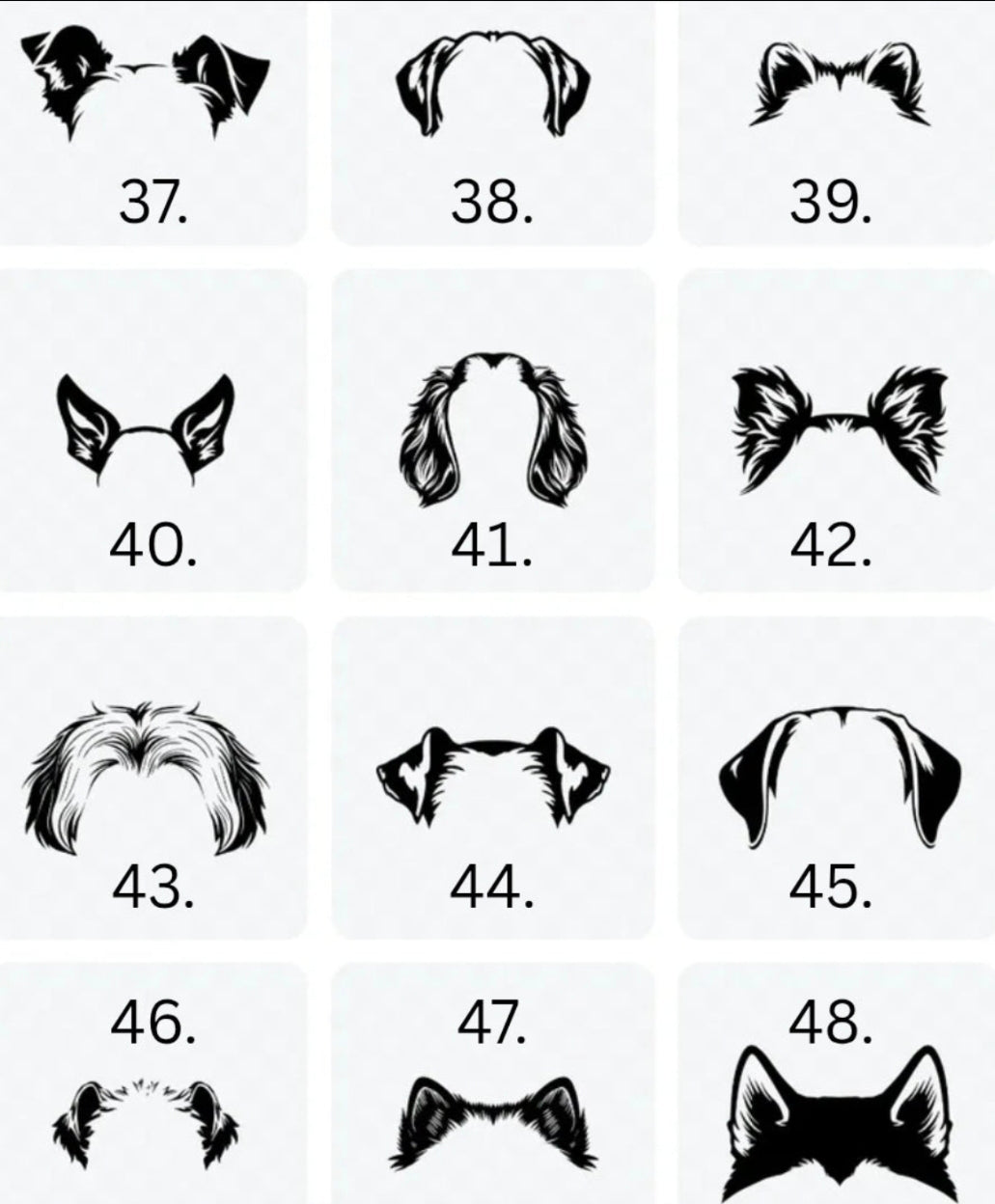 Dog Ears + Name - Pre-order