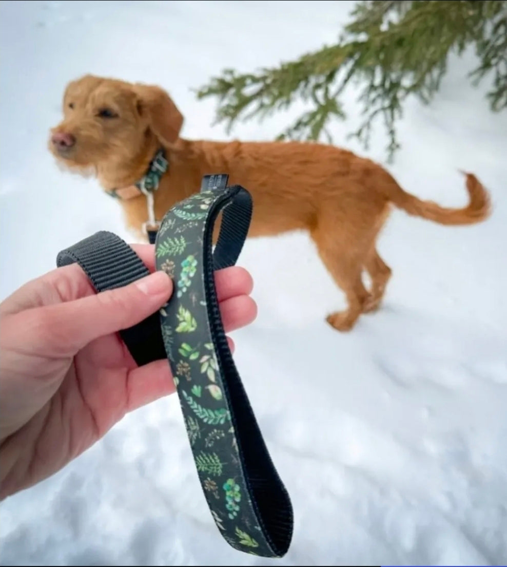 5ft Leash - Handle Matches Any Collar