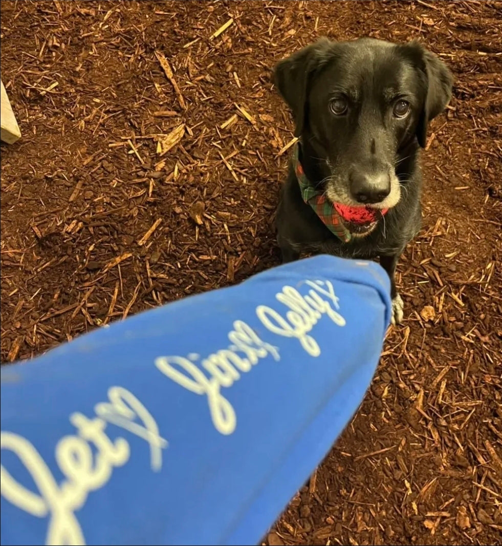 I wear my heart on my sleeve - Pre-order