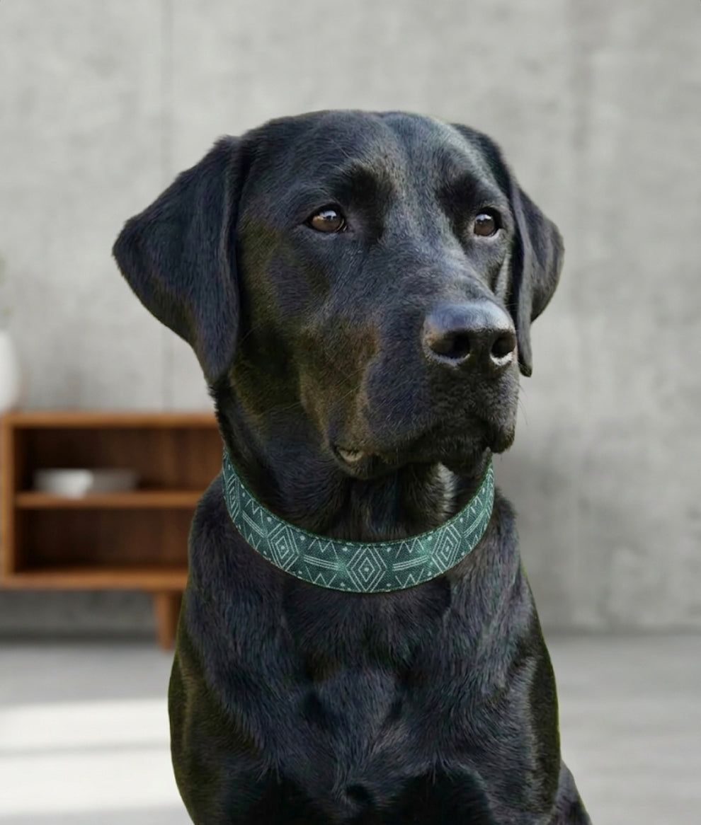 Rustic Green Geo Dog Collar