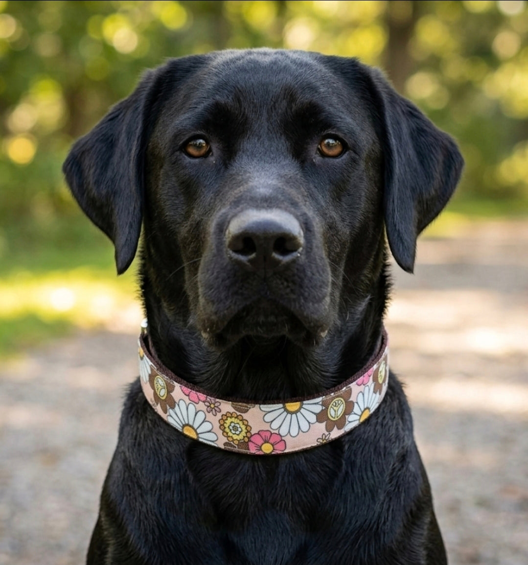 Retro Floral Dog Collar