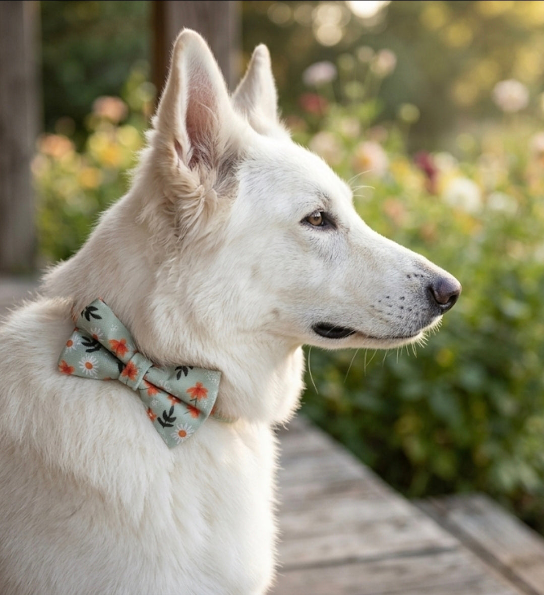 Daisy Meadow Over-the-collar Bowtie