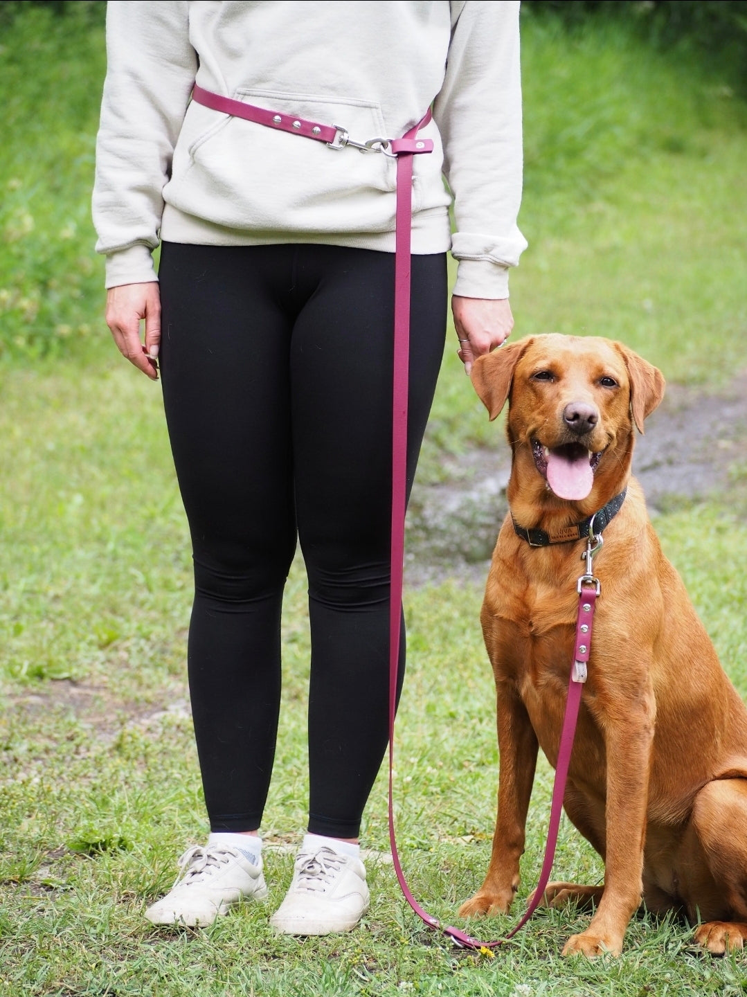 Multiuse Handsfree Waterproof Leash