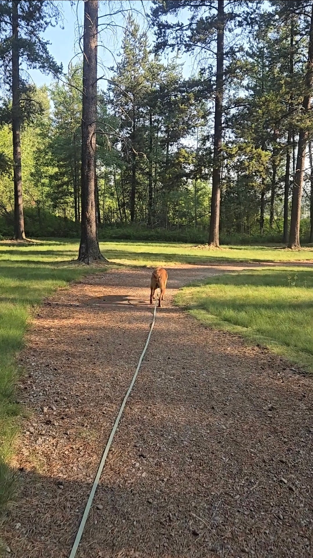 20ft Waterproof Long Line