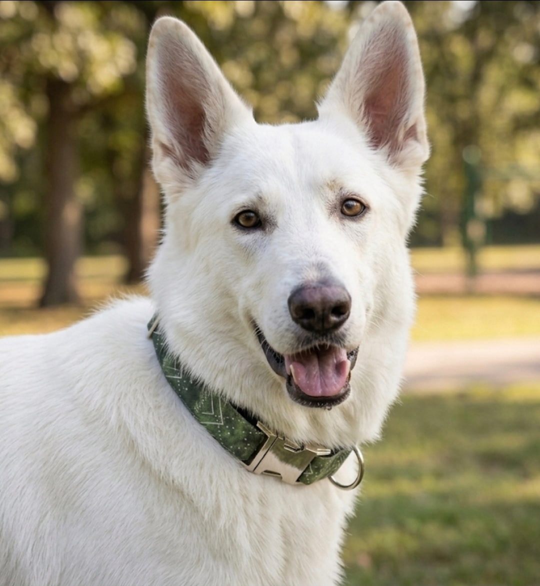 Green Celestial Dog Collar