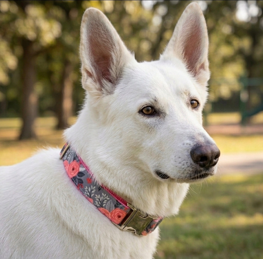 Grey Floral Dog Collar