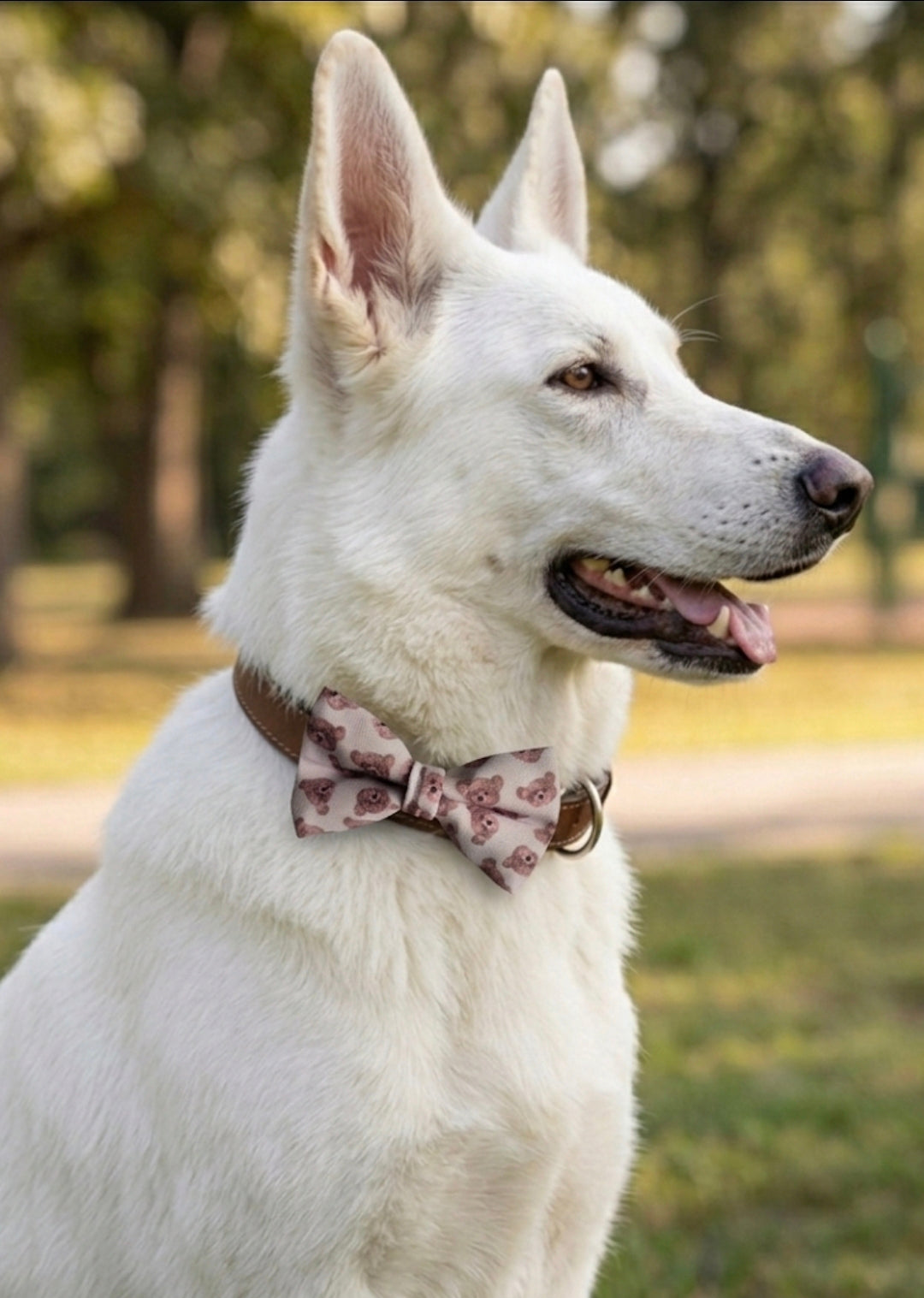 Teddy Bears Over-the-collar Bowtie
