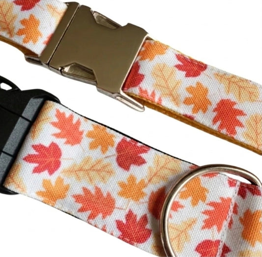 Falling Leaves Dog Collar