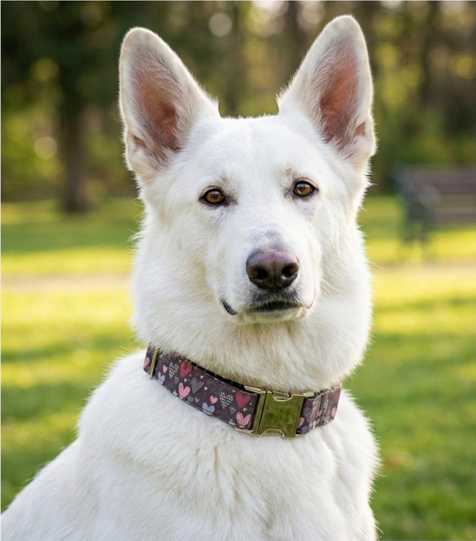 Hearts Dog Collar
