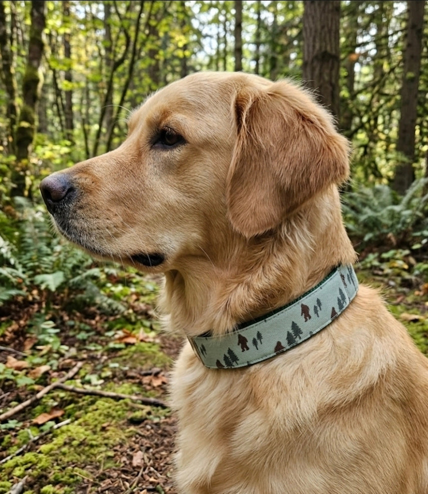 Sasquatch Dog Collar