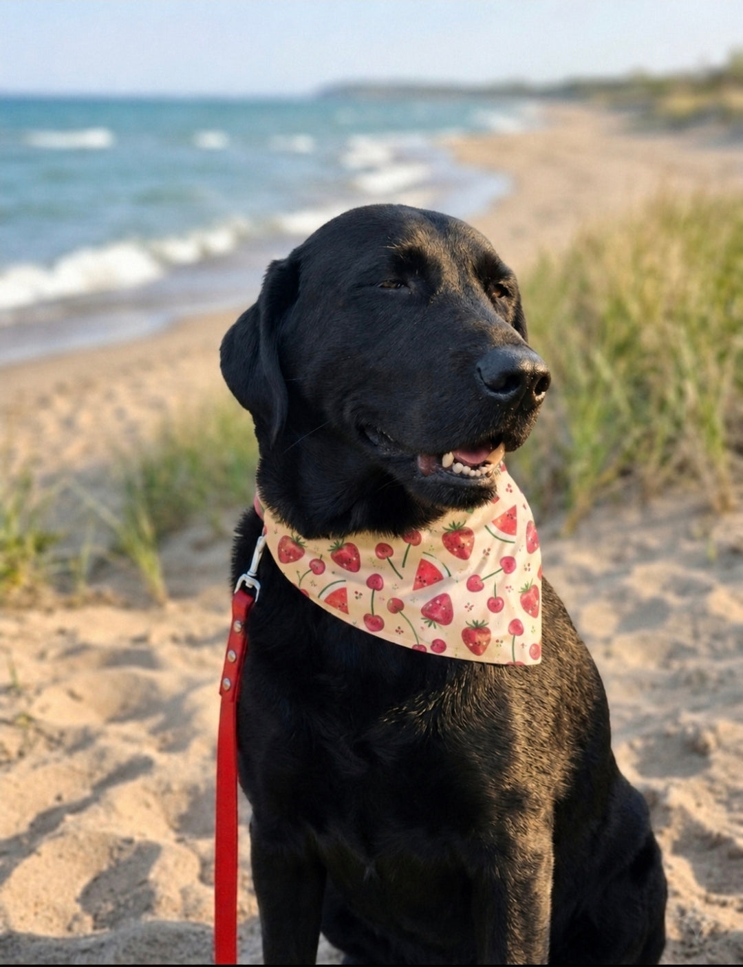 Summer Fruits Slip-On Bandana