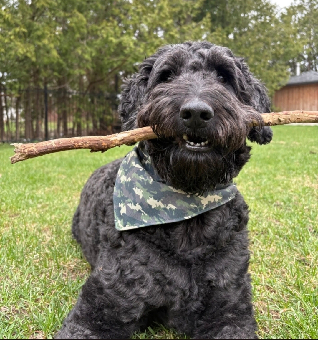 Green Camo Slip-On Bandana