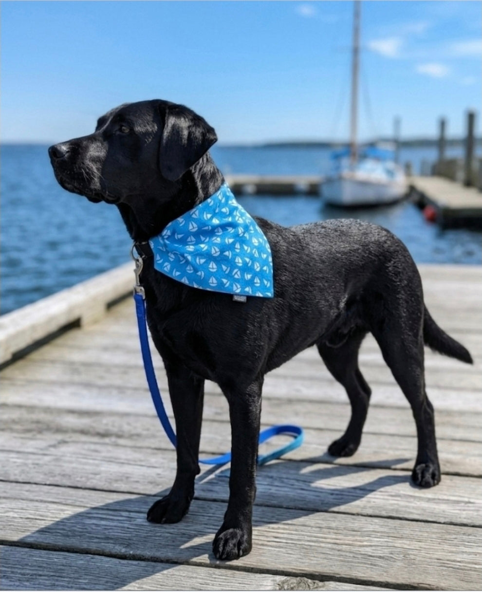 Sailboats Slip-On Bandana