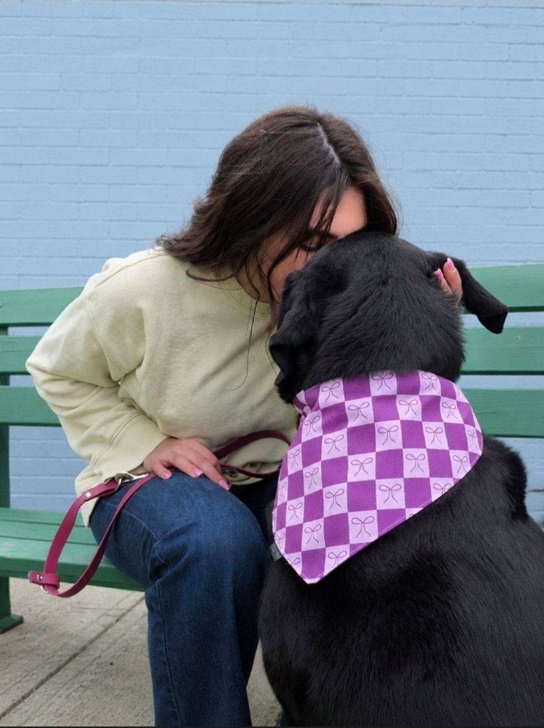 Purple Bows Slip-On Bandana