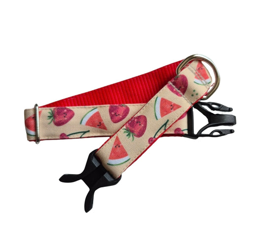 Summer Fruit Dog Collar