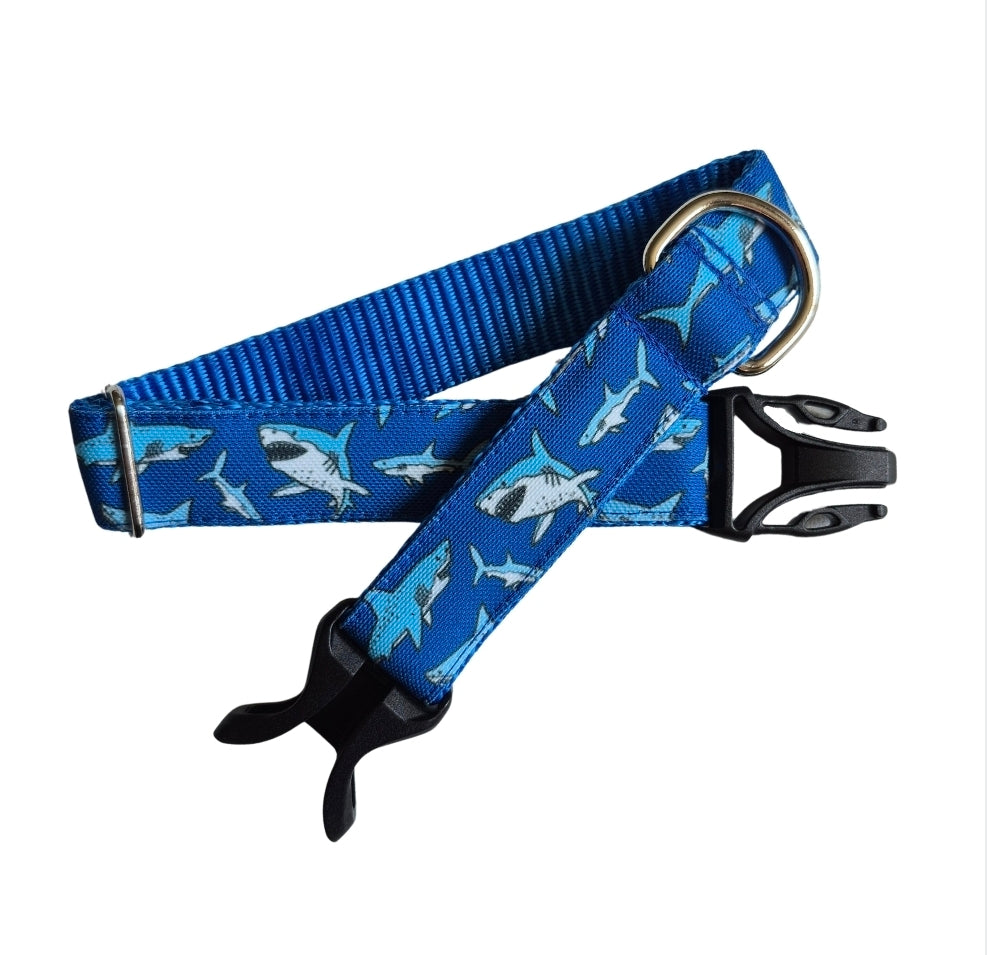 Sharks Dog Collar
