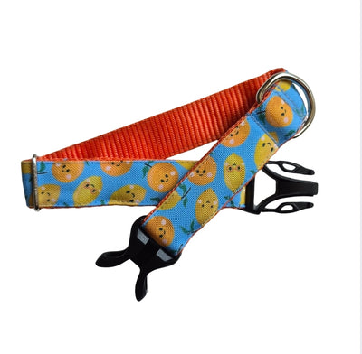 Citrus Blast Dog Collar