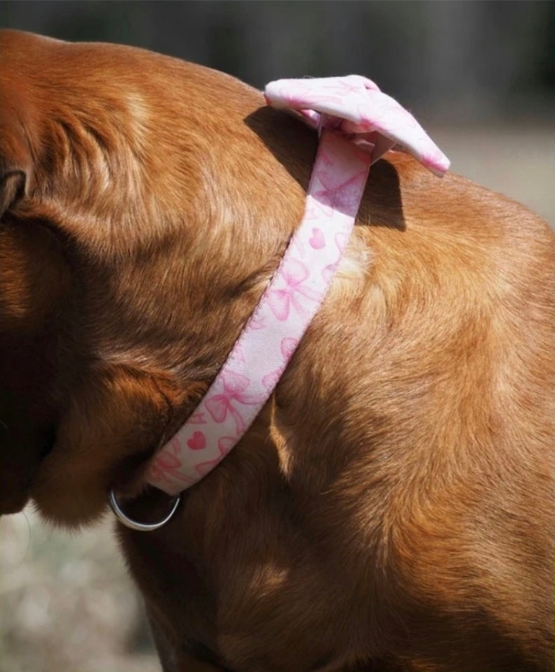 Pink Bows Dog Collar