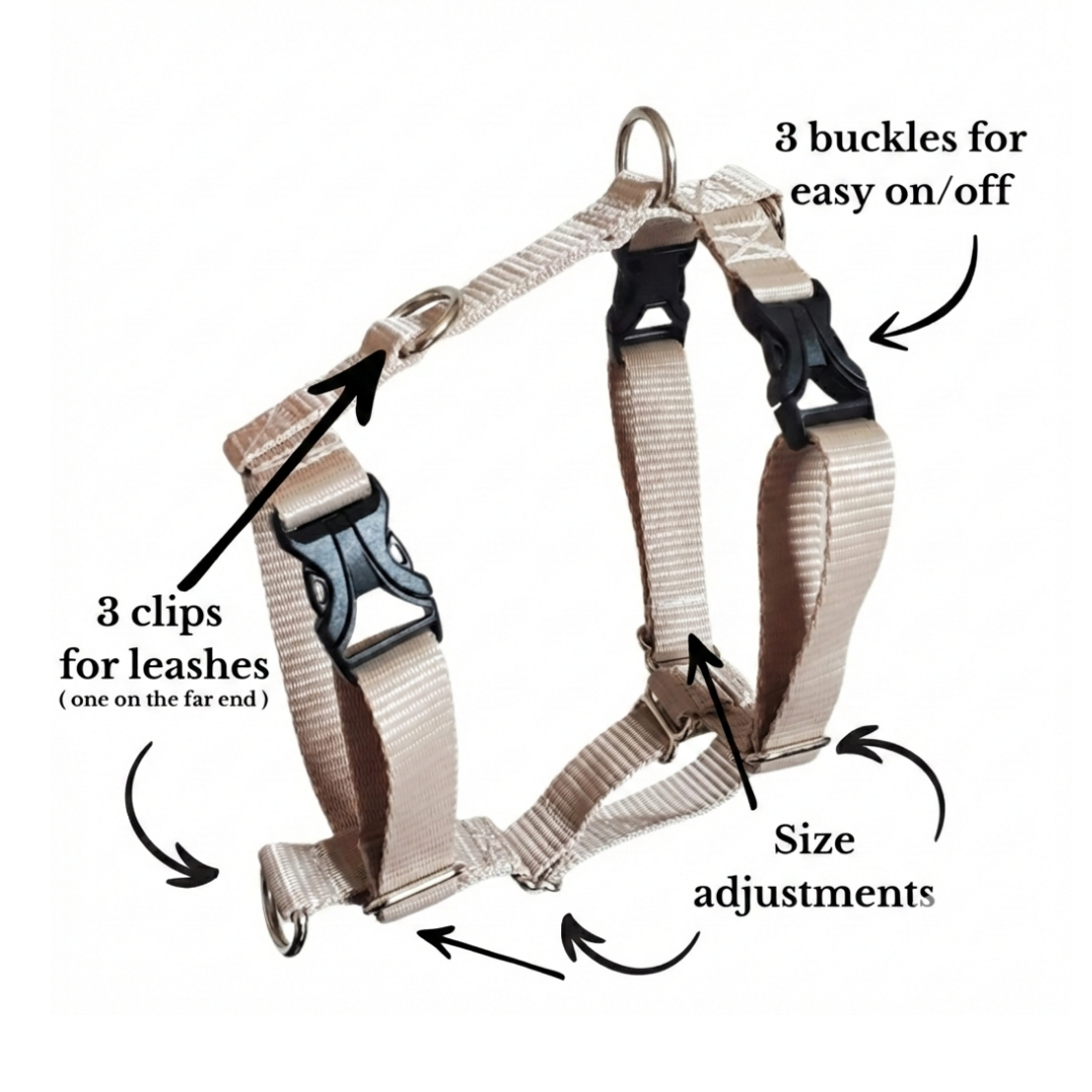 Everyday Walking Harness