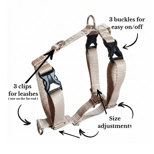 Everyday Walking Harness