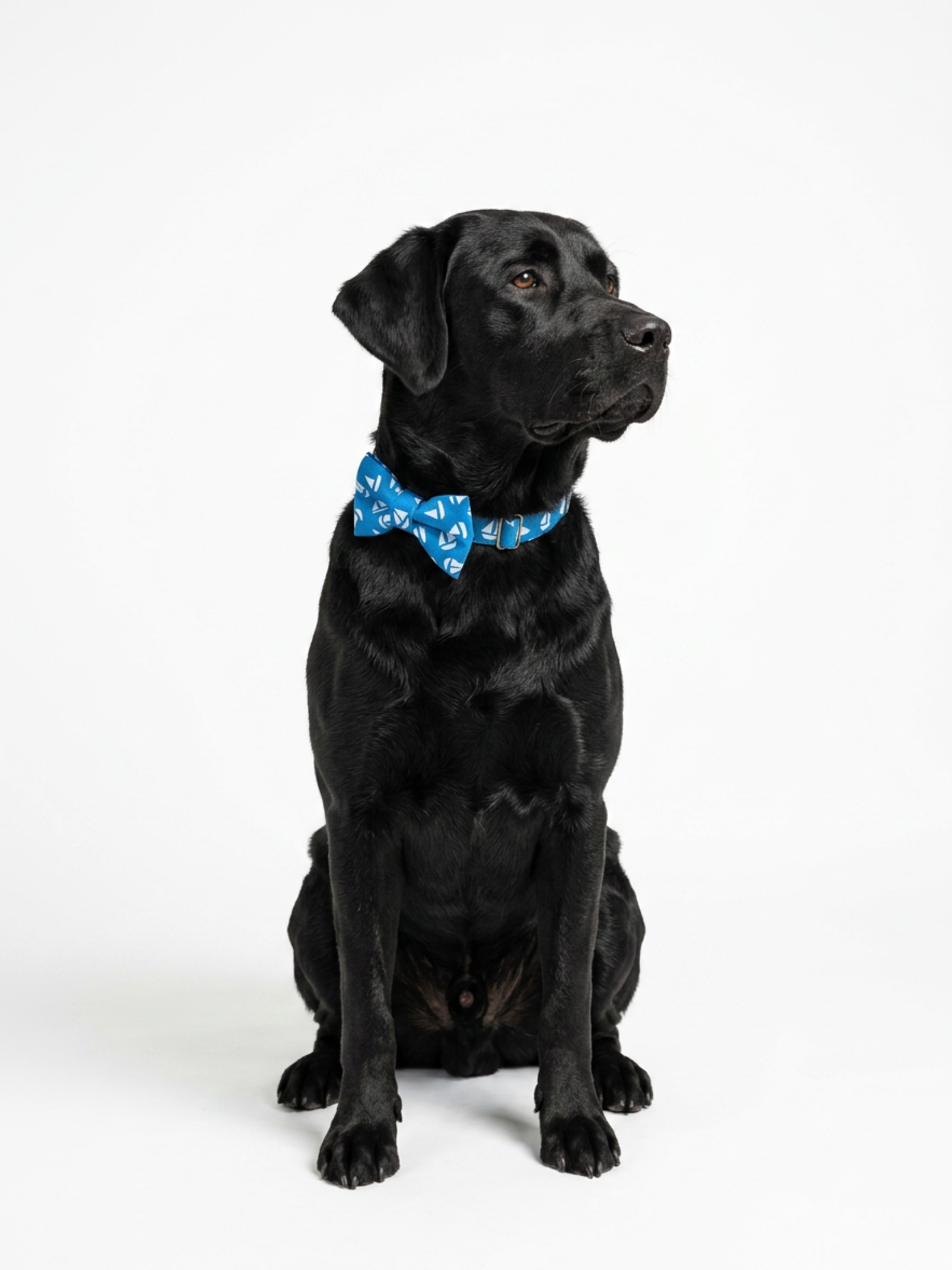 Sailboats Over-the-collar Bow
