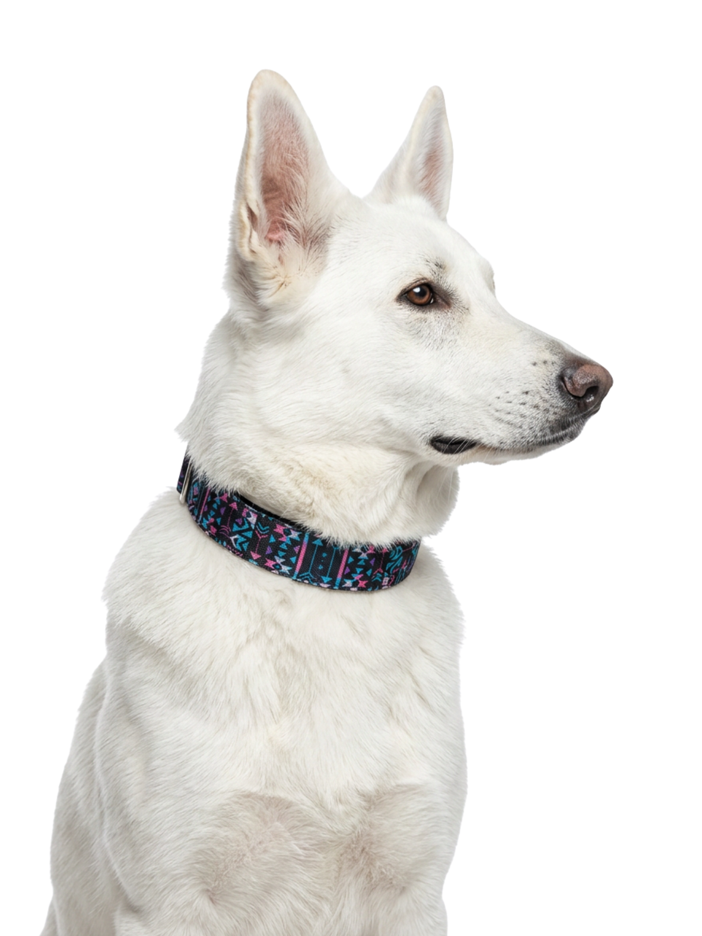 Dark Aztec Dog Collar