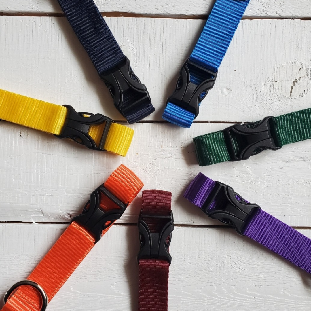 Vibrant Collars - no fabric just vibrant color webbing!