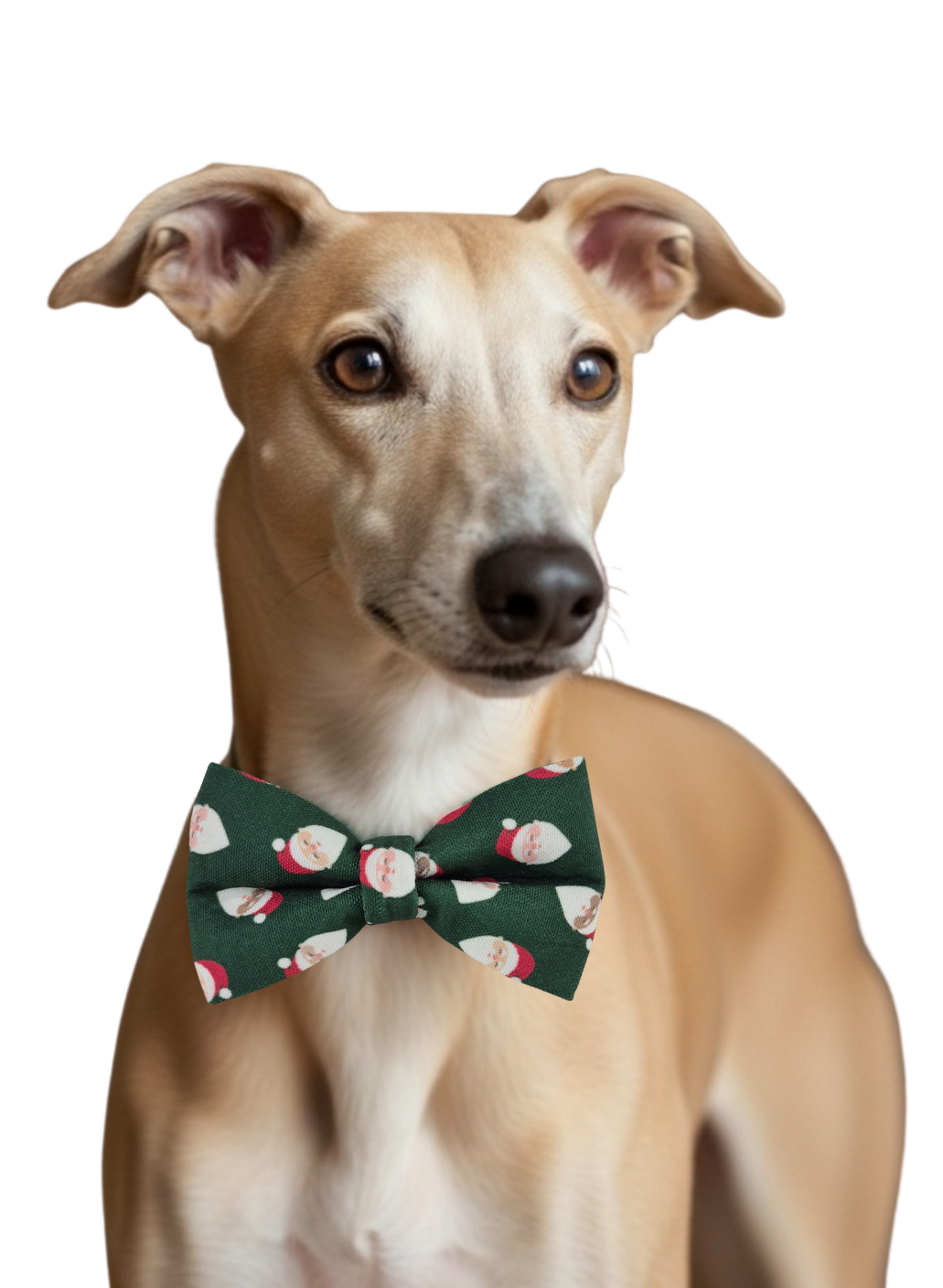 Tossed Santa's Over-the-collar Dog Bow