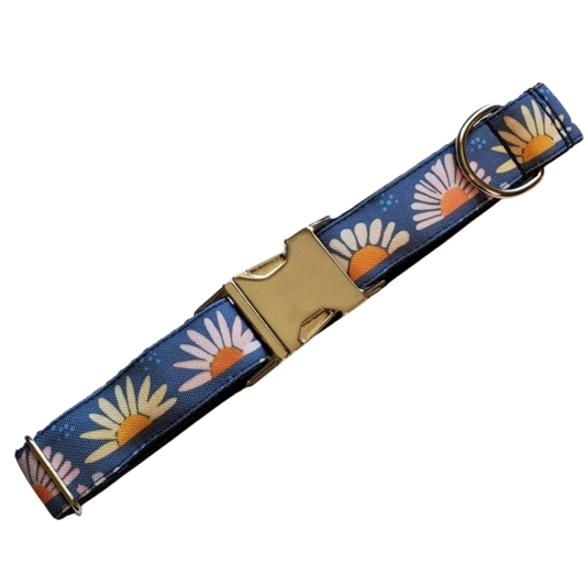 Daisy Sunrise Dog Collar
