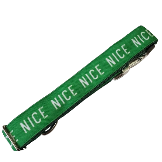 I've Been Nice Dog Collar