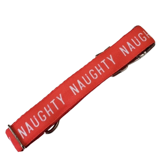 I've Been Naughty Dog Collar