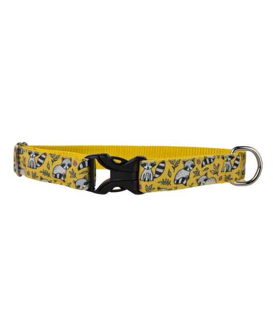 Little Racoons Dog Collar