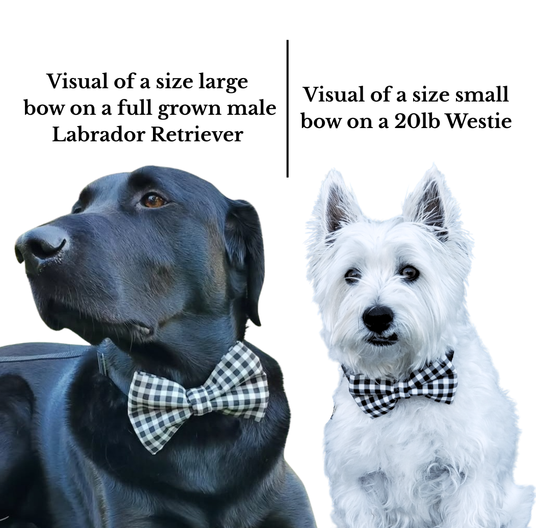 Midnight Garden Over-the-collar Bow