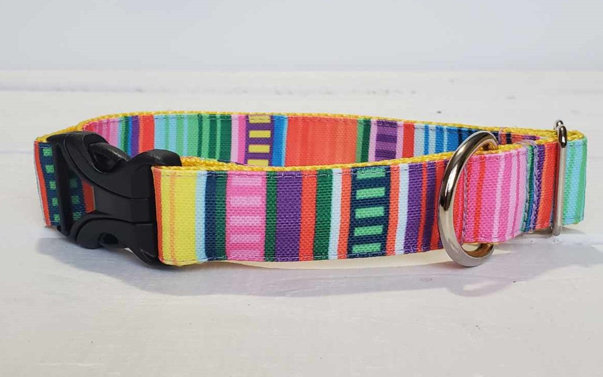 Bright Stripes Dog Collar - water & stain resistant