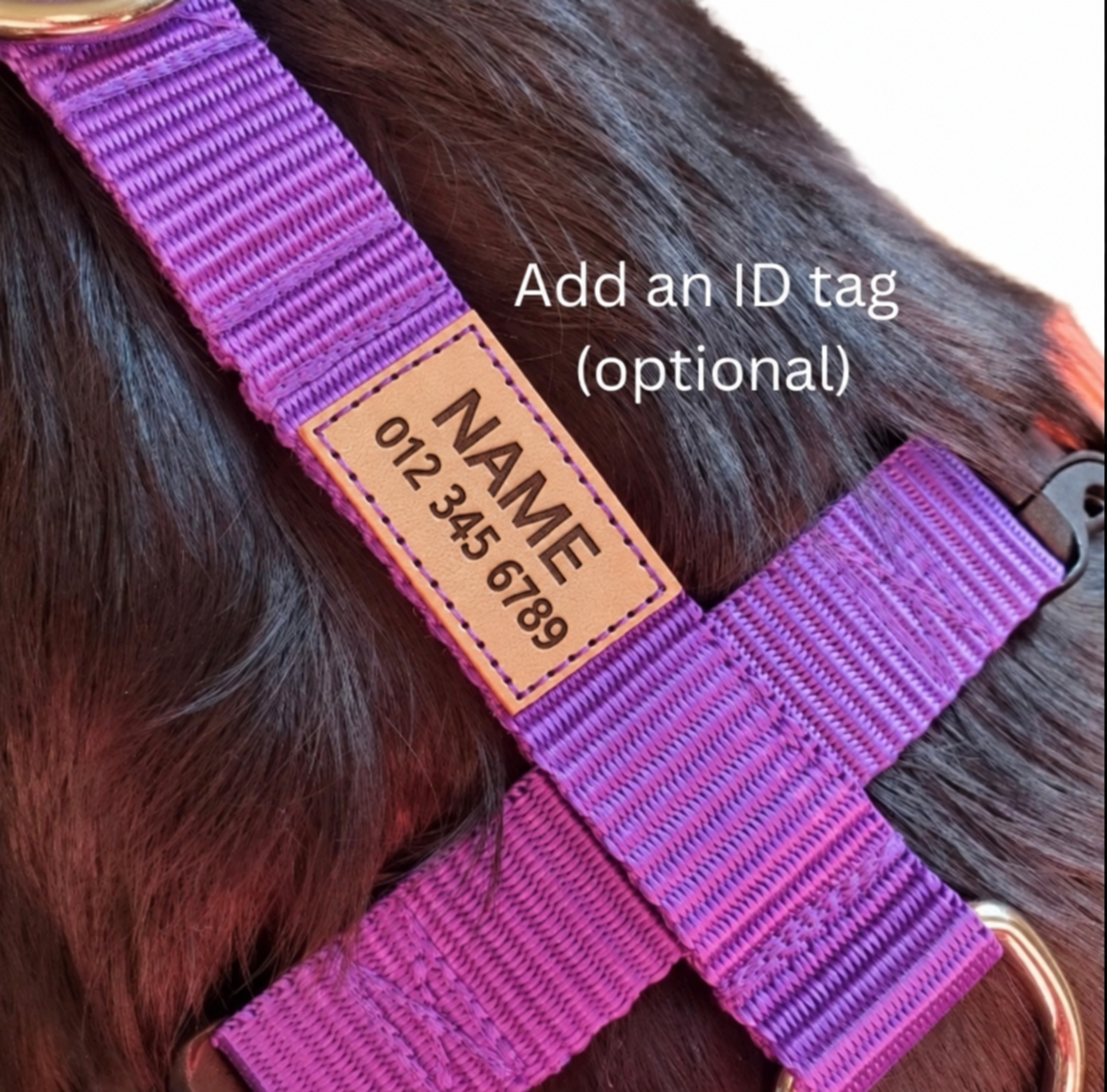 Everyday Walking Harness