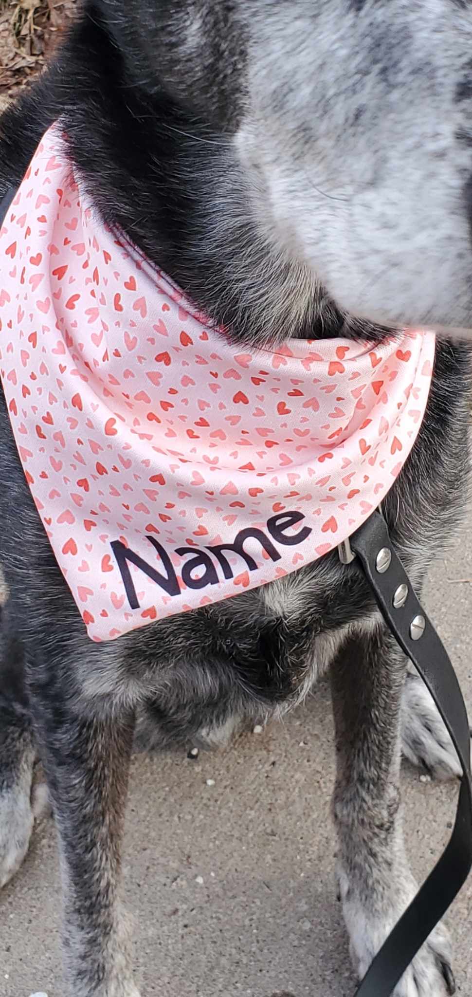 Pink Hearts Dog Bandana - wrinkle & stain resistant